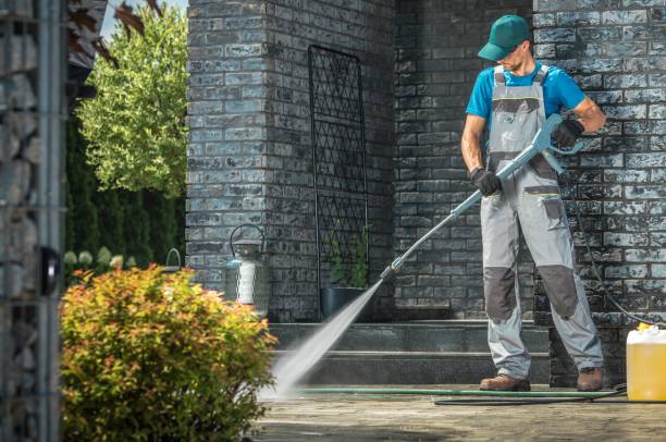 Best Gutter Cleaning  in Clearwater, MN